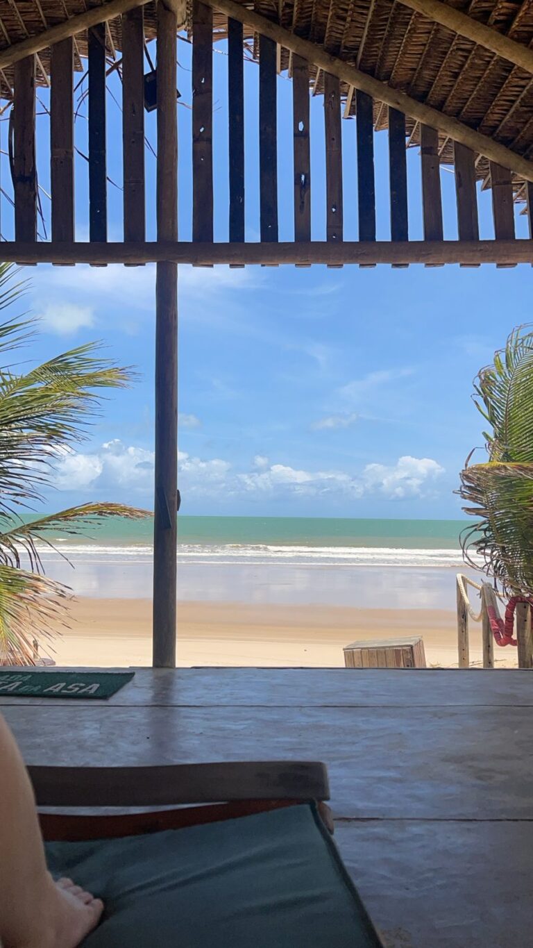 WhatsApp Image 2024-11-05 at 12.39