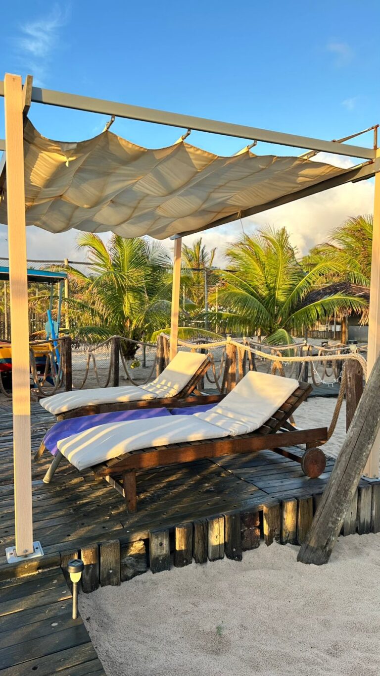 WhatsApp Image 2024-12-02 at 05.59