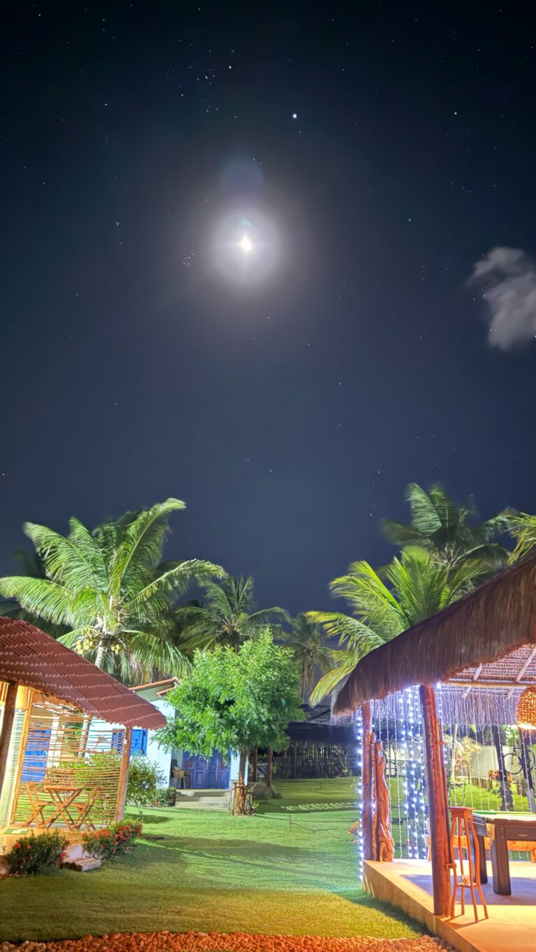 WhatsApp Image 2025-03-05 at 18.52